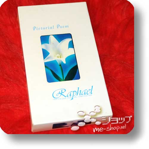 RAPHAEL - Pictorial Poem (VHS / PV-Collection) (Re!cycle)-10433
