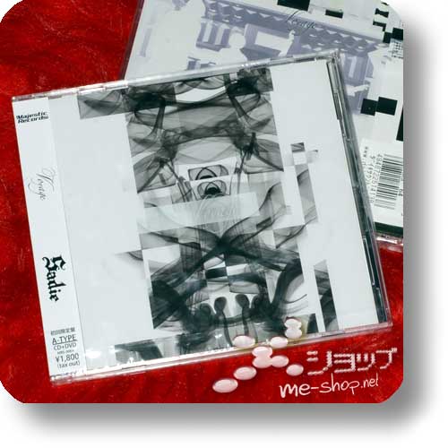 SADIE - Voyage (LIM.CD+DVD A-Type) (Re!cycle)-0