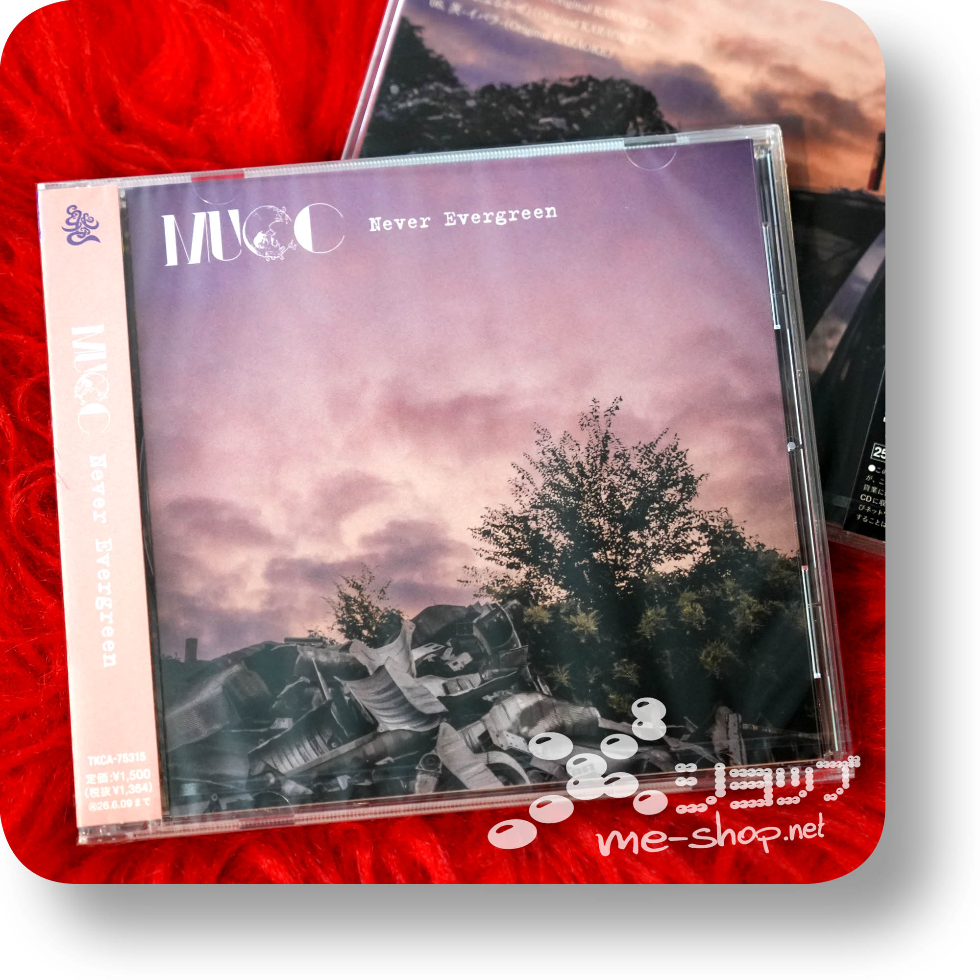 mucc never evergreen