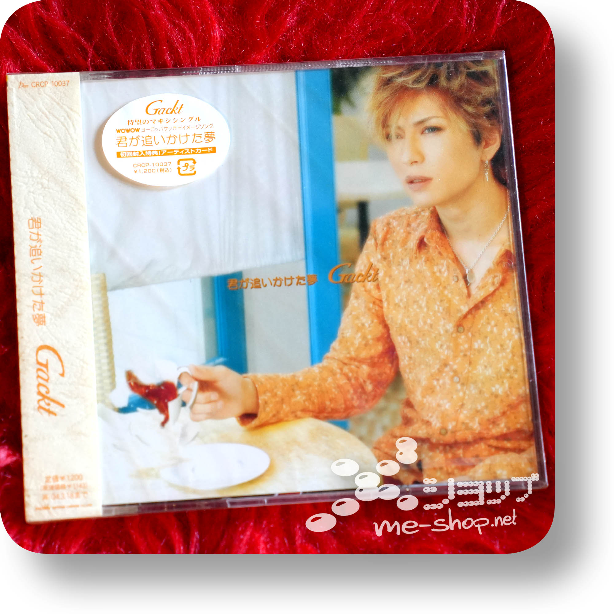 gackt kimi ga oikaketa yume