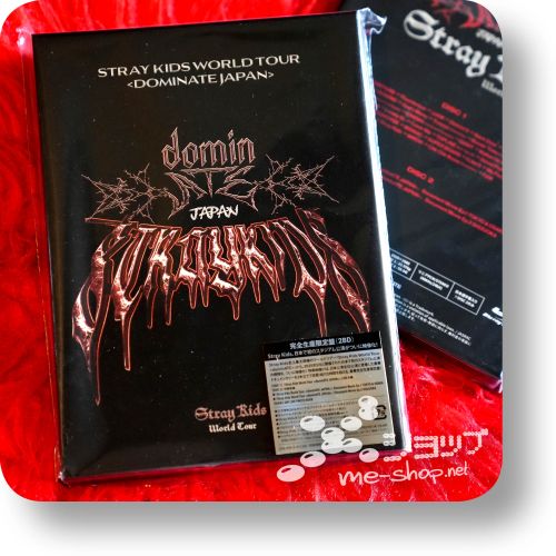 stray kids world tour dominate 2bd
